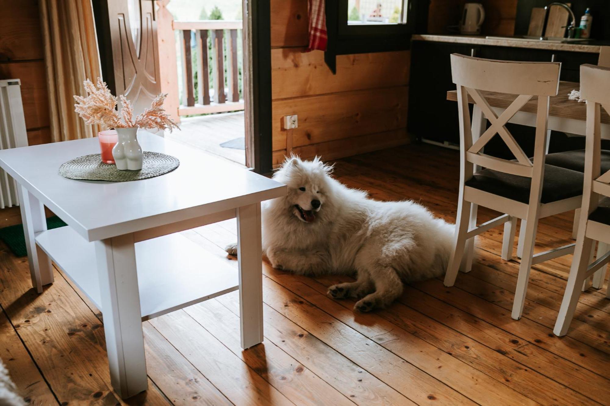 Domki,,chatki Goralskie 
